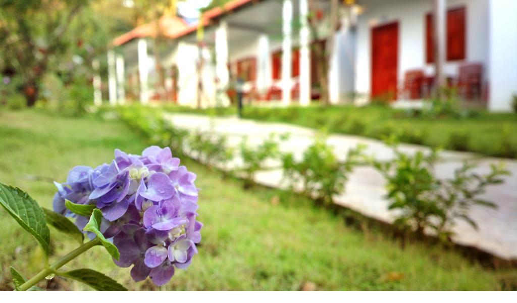 Highland Bungalow Phú Quốc Exterior foto