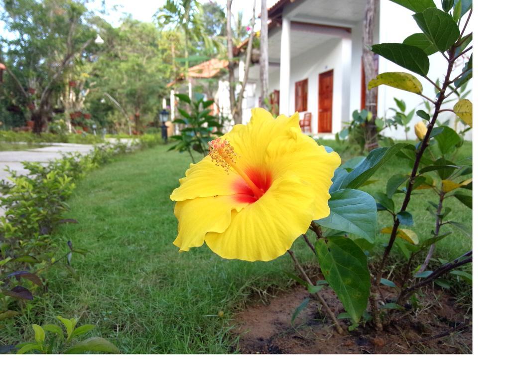 Highland Bungalow Phú Quốc Exterior foto