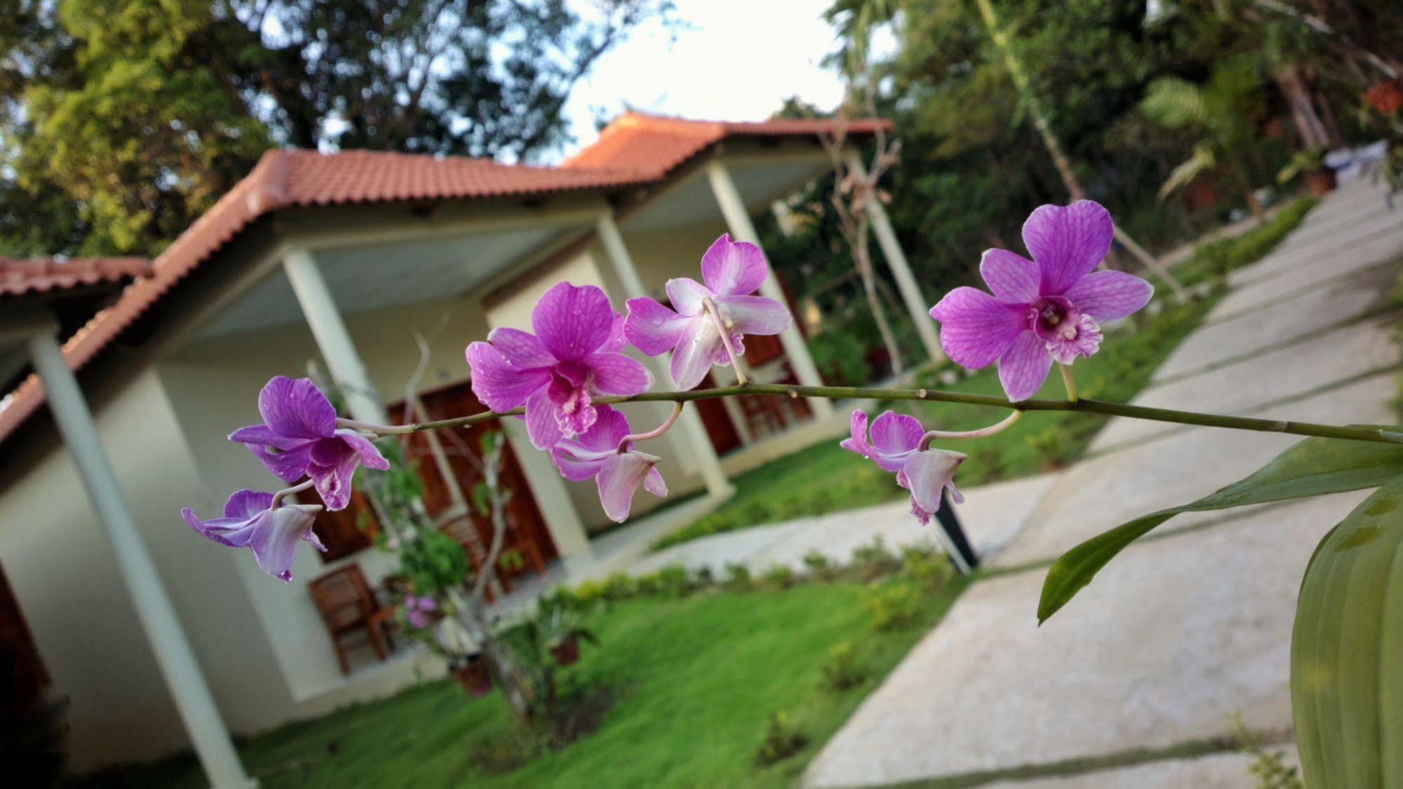 Highland Bungalow Phú Quốc Exterior foto